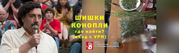 тгк Бородино