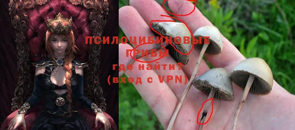 тгк Бородино